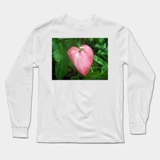 Love Nature Long Sleeve T-Shirt
